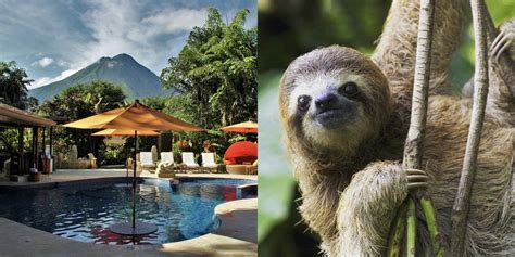 costa rica sloth sanctuary hotel